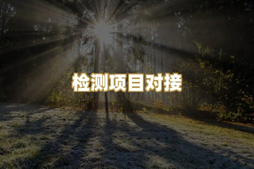 检测项目对接